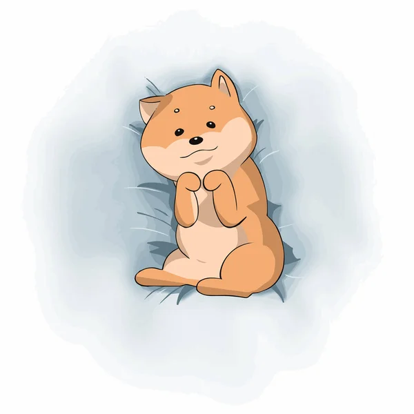 Cute Shiba Inu Lies Bed Shows Her Belly Vector Illustration — Stockový vektor