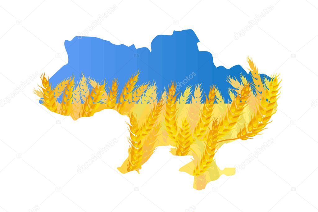 vector map of ukraine in spikelets of wheat flag of ukraine in solidarity with ukraine. Vector illustration