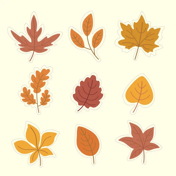 Autumn Pack Leaves Vector Graphics — Stockvector