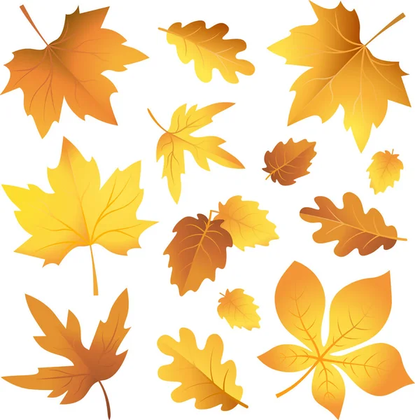 Golden Autumn Leaves Maple Vector Vector Illustration — Image vectorielle