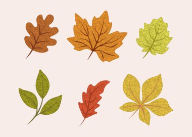set of vector leaves with texture. Vector illustration and creative leaves 