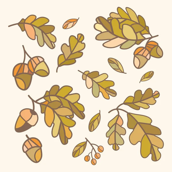Set Vector Oak Leaves Acorns Vector Illustration — Vetor de Stock