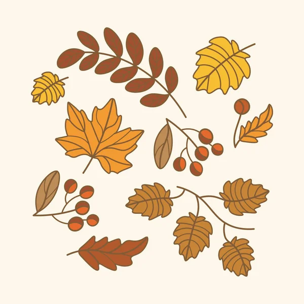 set of vector leaves and berries with outline. Vector illustration