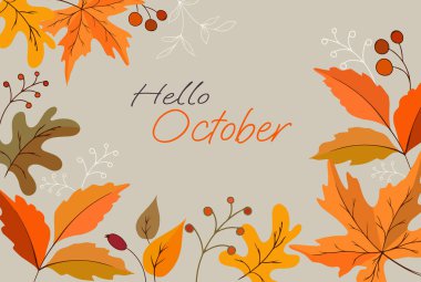 autumn background with text hello october and autumn leaves with berries. Vector illustration