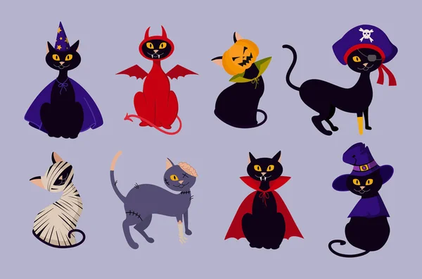 Chat Noir Dans Différentes Images Sur Halloween Pirate Zombie Vampire — Image vectorielle