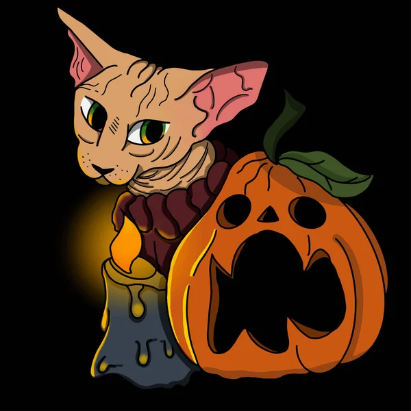 Zucca Gatto Candela Illustrazione Halloween Illustrazione Vettoriale — Vettoriale Stock