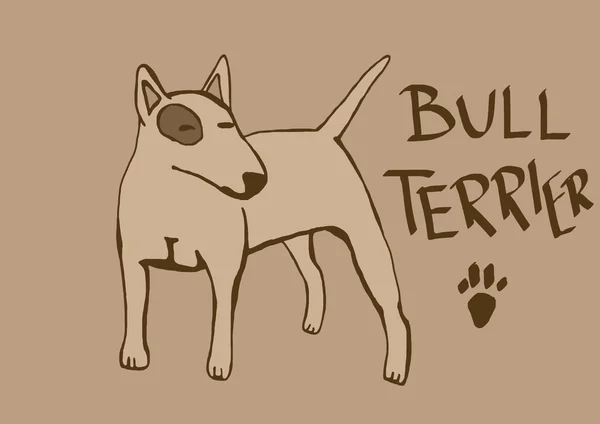 Bull terrier vintage — Stock Photo, Image