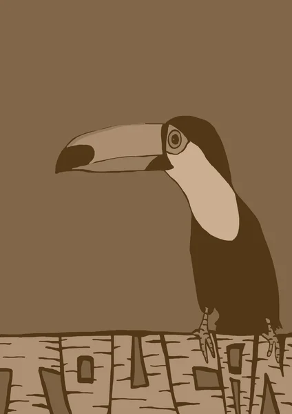 Vintage toucan — Stok fotoğraf