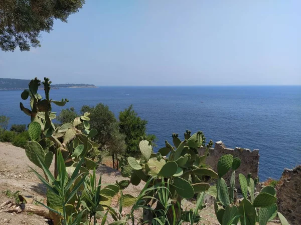 Talya Nın Ischia Adası Ndaki Aragonese Kalesi Manzarası — Stok fotoğraf