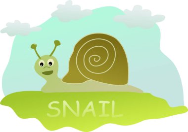 Şirin bir salyangoz resmi