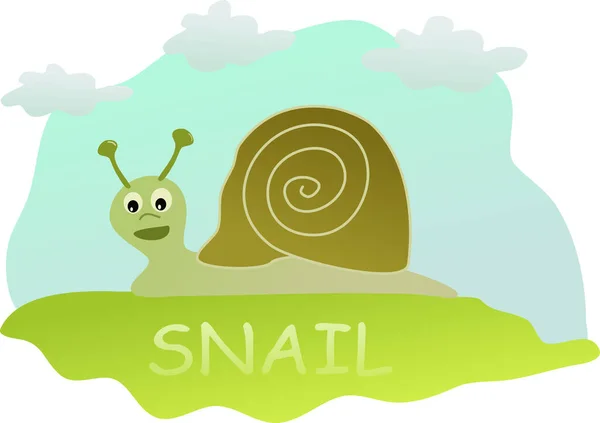 Image Cute Snail — Stock Vector