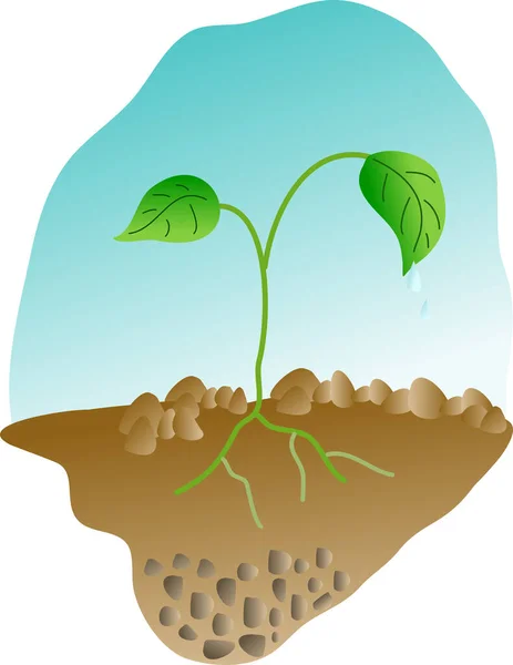 Image Bud Growing Soil — Stock Vector
