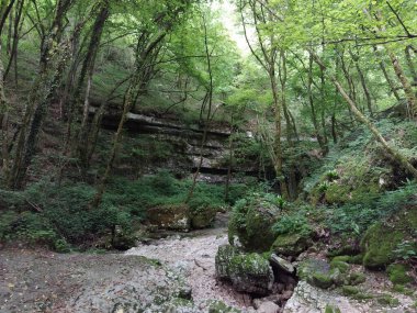 İtalya, Verona 'da Sant' Anna D 'Alfaedo' daki Veja köprüsü