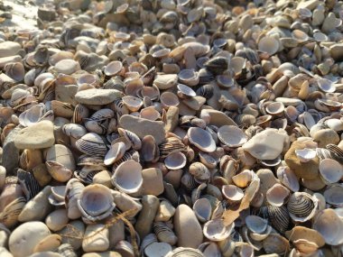 garda Gölü İtalya'nın görünümü