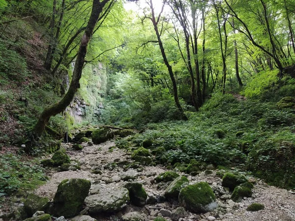 İtalya, Verona 'da Sant' Anna D 'Alfaedo' daki Veja köprüsü