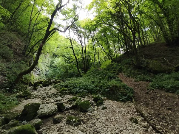 İtalya, Verona 'da Sant' Anna D 'Alfaedo' daki Veja köprüsü