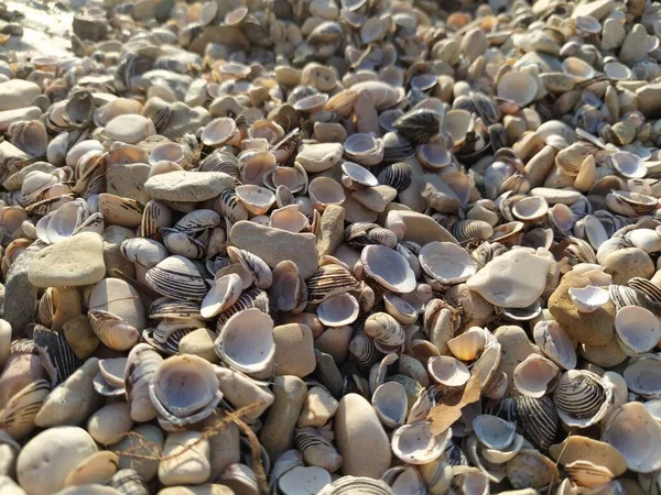 garda Gölü İtalya'nın görünümü