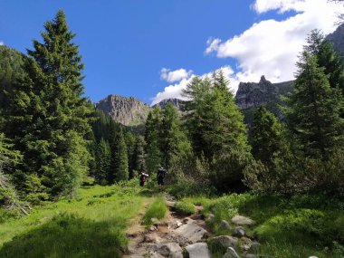 Cima dAsta, İtalya 'nın Trentino eyaletinin doğu kesimindeki Fiemme Dağları' nın en yüksek dağıdır.