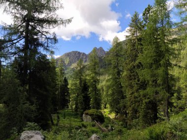 Cima dAsta, İtalya 'nın Trentino eyaletinin doğu kesimindeki Fiemme Dağları' nın en yüksek dağıdır.