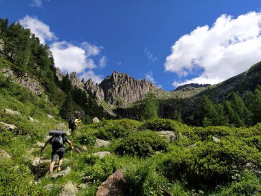 Cima dAsta, İtalya 'nın Trentino eyaletinin doğu kesimindeki Fiemme Dağları' nın en yüksek dağıdır.