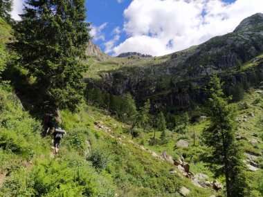 Cima dAsta, İtalya 'nın Trentino eyaletinin doğu kesimindeki Fiemme Dağları' nın en yüksek dağıdır.