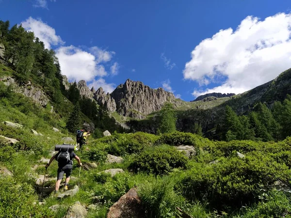 Cima Dasta Highest Mountain Fiemme Mountains Eastern Part Italian Province — Stockfoto