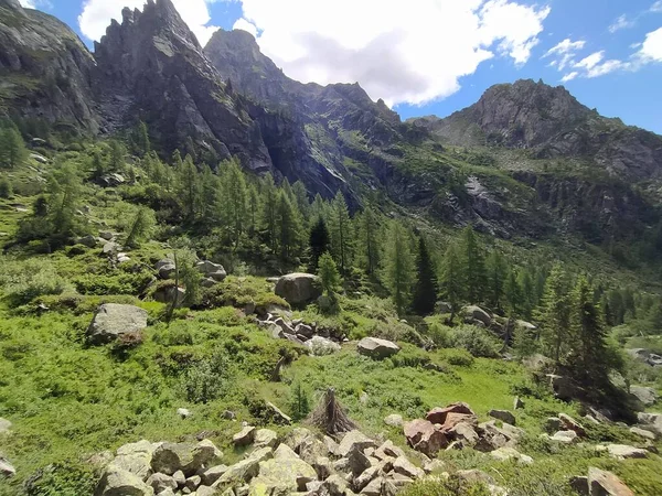 Cima Dasta Highest Mountain Fiemme Mountains Eastern Part Italian Province — Stockfoto