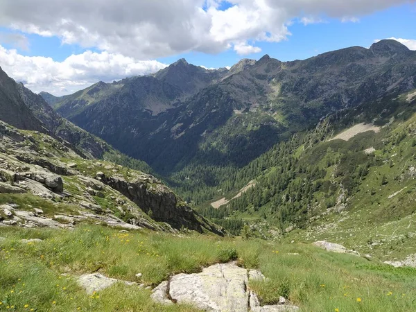 Cima Dasta Highest Mountain Fiemme Mountains Eastern Part Italian Province — Stock Photo, Image