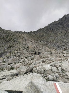 Cima dAsta, İtalya 'nın Trentino eyaletinin doğu kesimindeki Fiemme Dağları' nın en yüksek dağıdır.