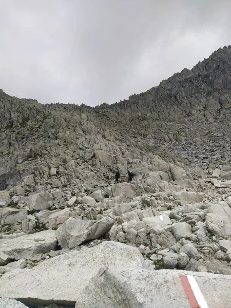 Cima Dasta Jest Najwyższym Szczytem Gór Fiemme Wschodniej Części Włoskiej — Zdjęcie stockowe