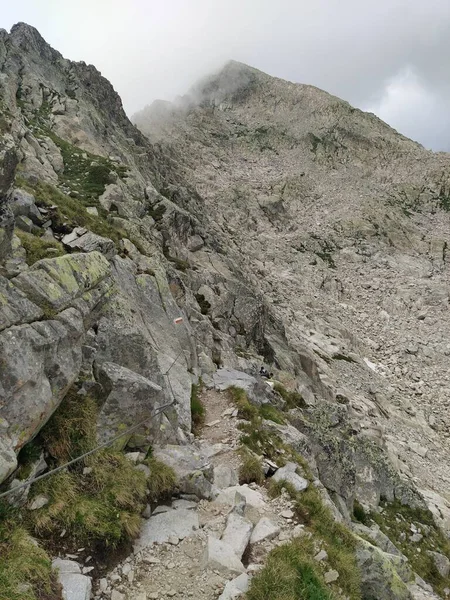 Cima Dasta Montagna Più Alta Dei Monti Fiemme Nella Parte — Foto Stock