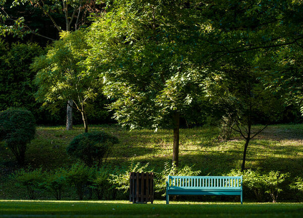 синяя березовая скамейка в парке в красивой зеленой зоне с травяными деревьями одинокая скамейка без людей