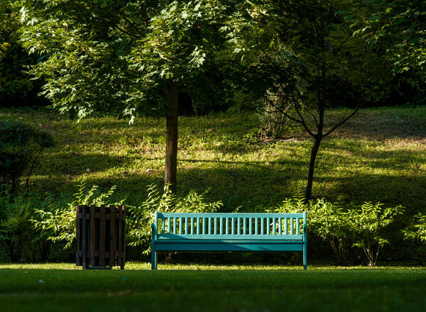 синяя березовая скамейка в парке в красивой зеленой зоне с травяными деревьями одинокая скамейка без людей