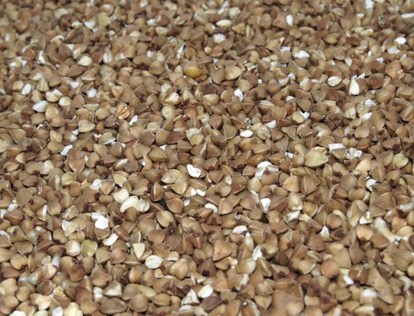 Buckwheat background — Stock Photo, Image
