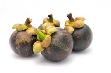 Mangosteen