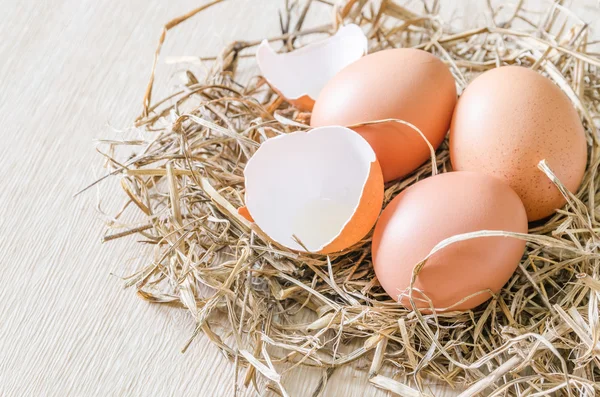 Uova nel nido di fieno — Foto Stock