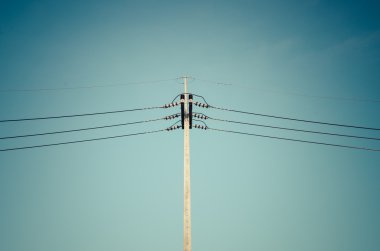 güç hattı üzerinde işlenen ayağı,