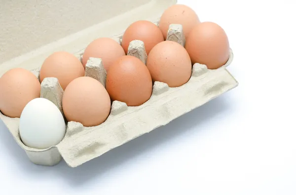 White and brown eggs in a carton package — Stock Photo, Image