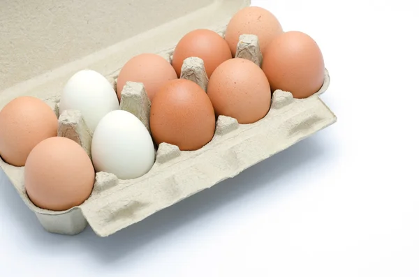 Bílé a hnědé vejce v kartonu — Stock fotografie