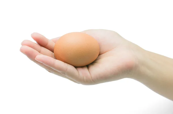 흰색 바탕에 손에 계란 — 스톡 사진