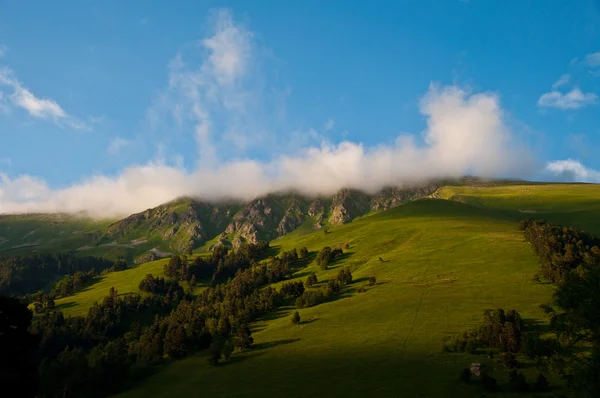 Yeşil Beyaz dağ tepesi