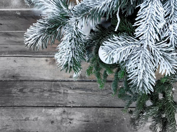 Fond Hivernal Avec Une Branche Pin Enneigée Sur Fond Flou — Photo