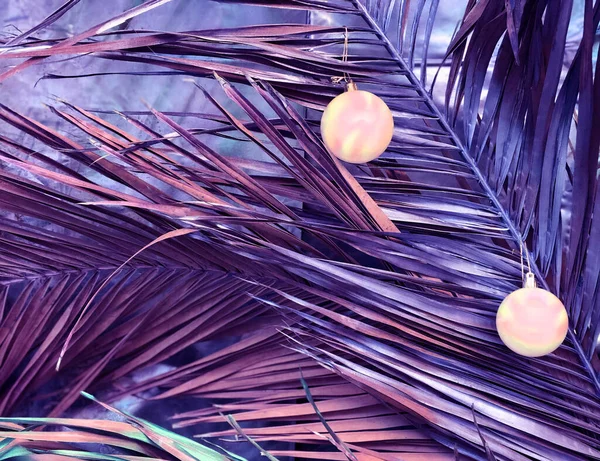 Tropische Donkerpaarse Achtergrond Met Een Mooie Palmtak Kerstballen Erop Winterconcept — Stockfoto
