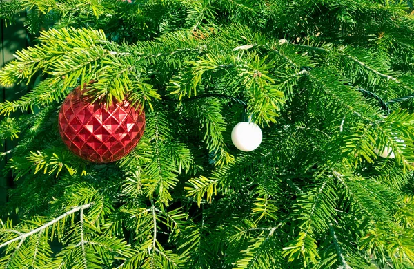 美丽的圣诞明亮的绿色背景冷杉枝条装饰红色和白色的圣诞球 圣诞节 复制空间 — 图库照片
