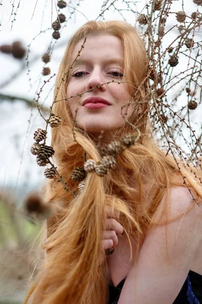 Çam Dalları Koniler Arasındaki Genç Güzel Kızıl Saçlı Kadının Portresi — Stok fotoğraf