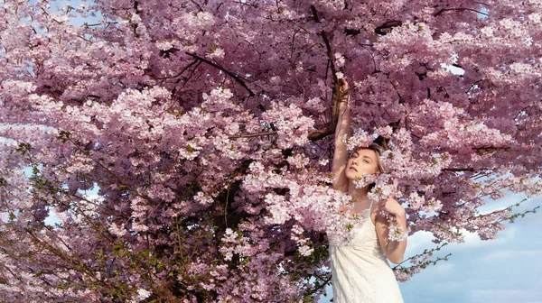 官能的 魅惑的 パノラマ ピンクの花の木の花のセクシーな若いブロンドの女性の肖像4月の開花の木の花 春の目覚め パノラマバナー コピースペース — ストック写真