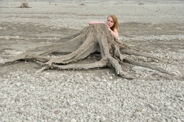 Güzel Genç Seksi Kızıl Saçlı Kadın Forggensee Deki Kurumuş Ağaç — Stok fotoğraf