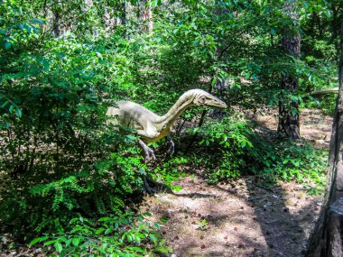 Orman Koelophysis Hunt ormanda Coelophysis avı