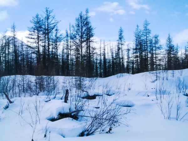 Natura Chukotka Paesaggio Chukotka Bellezza Della Natura Del Nord — Foto Stock