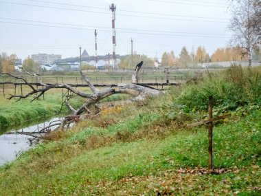 Dışlama bölgesi mezar stalker çapraz. Dışlama bölgesi mezar stalker çapraz.
